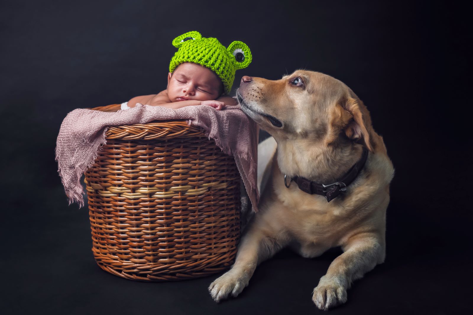 Kolkata Baby Photographer_Pet Photography